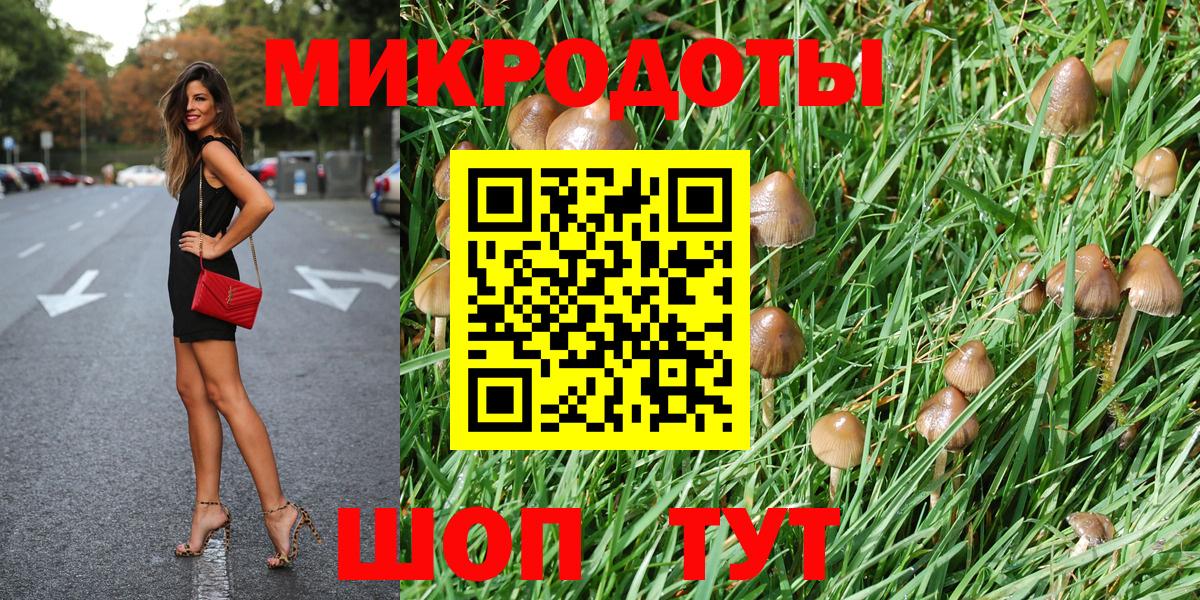 Галлюциногенные грибы ЛСД Кохма