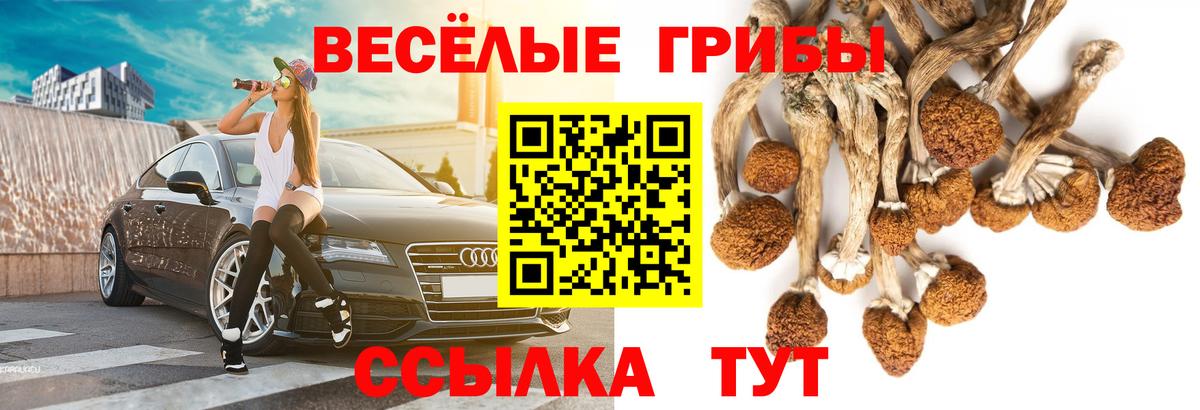 Галлюциногенные грибы ЛСД  Галлюциногенные грибы GOLDEN TEACHER  Вход с VPN  Кохма 